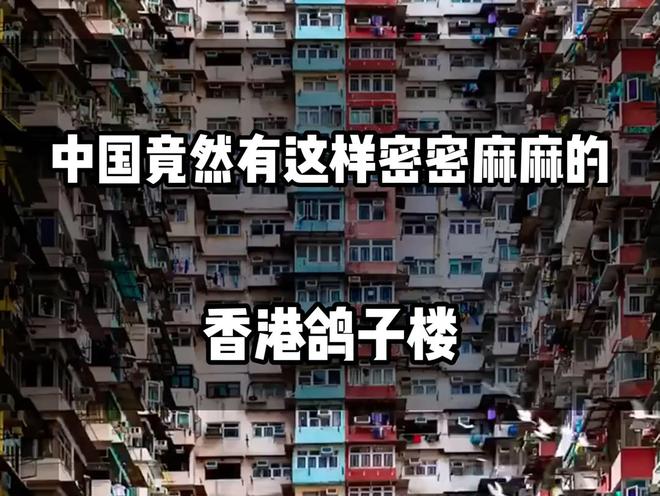 为何宁愿住“鸽子楼”也不选深圳大平层冰球突破豪华版手机版月薪5万香港人(图2) 为何宁愿住“鸽子楼”也不选深圳大平层冰球突破豪华版手机版月薪5万香港人(图2)