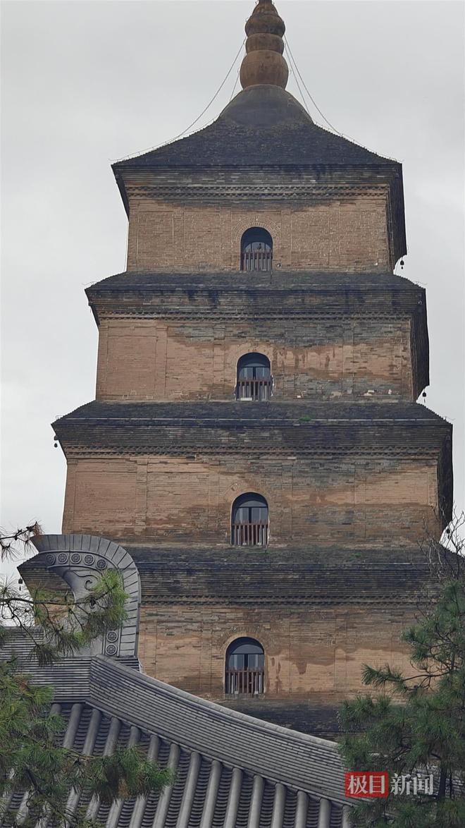 菇大雁塔受潮城墙布满青苔气象局解释成因冰球突破西安连续一个多